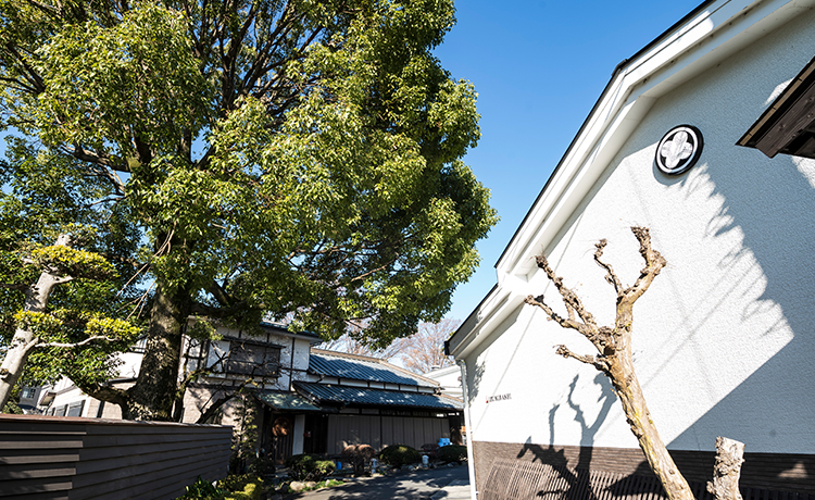 酒蔵見学・試飲ツアー